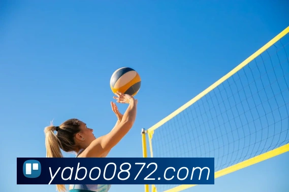 亚博体育APP 封面图